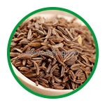 Cumin Seeds