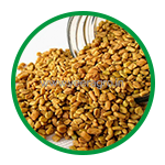 Fenugreek Seeds