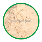 Durum Wheat Flour