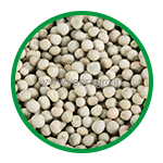 Green Peas