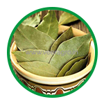 Bay leaves