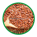 Flax Seeds