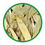 Senna Leaves