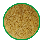 1509-Golden-Sella-Rice